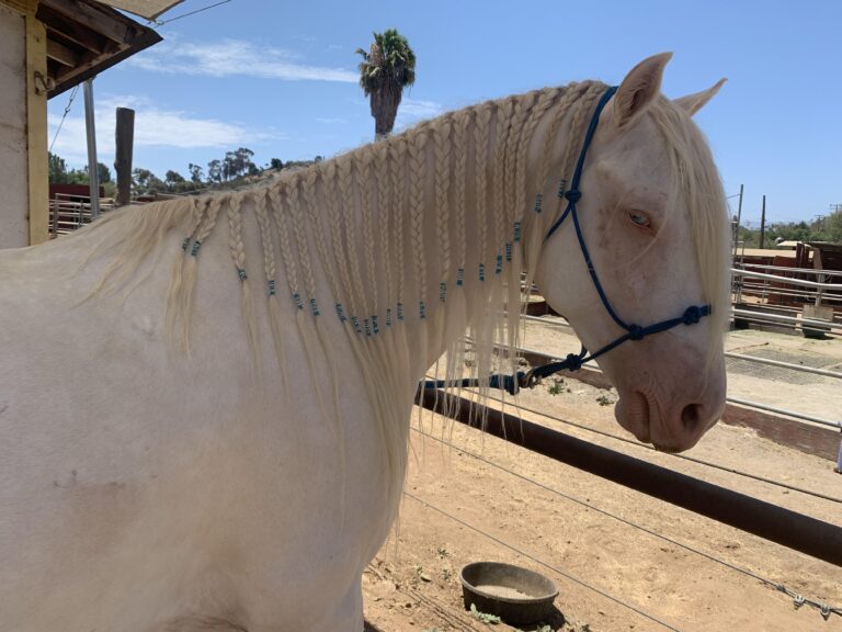 v5wr74876de91 768x576