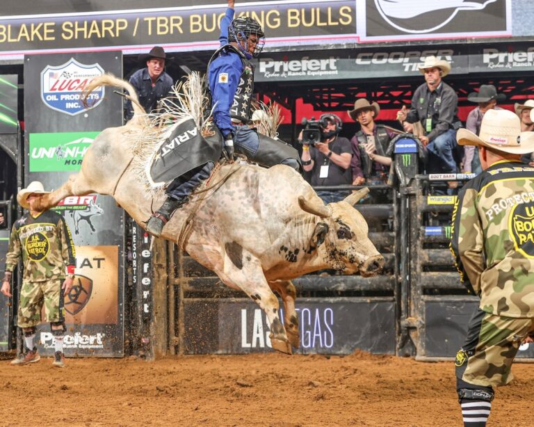 198865003 4182138701833184 7680050539322099174 n 768x614