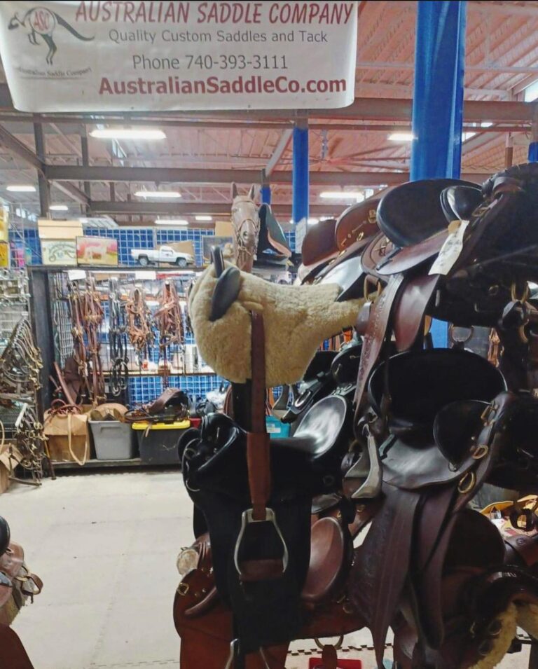 309371427 3205531659712556 6324012207796379506 n 768x955