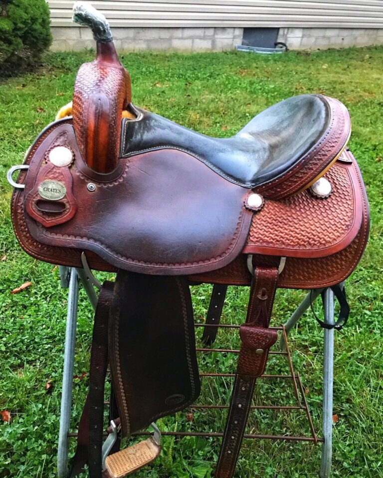 311292473 3205513246381064 5196547750213593629 n 768x960