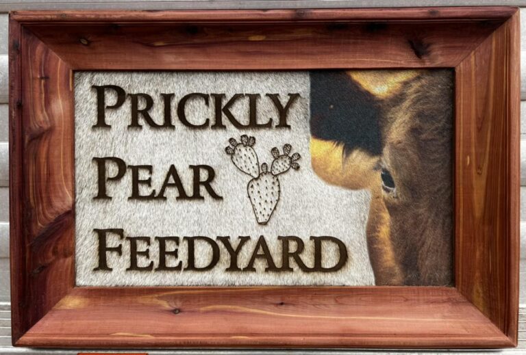 314974021 6196692053693989 4635003282631614051 n 768x519