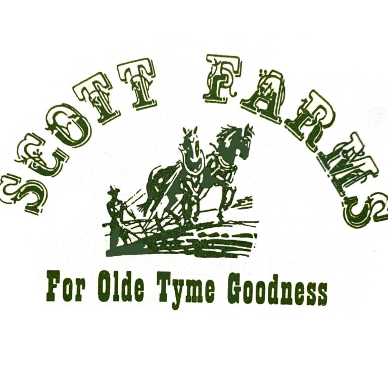 325732133 2001501283380083 4038711914258809008 n 768x768