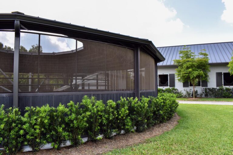 327240360 863383814770125 1907844079894817514 n 768x512