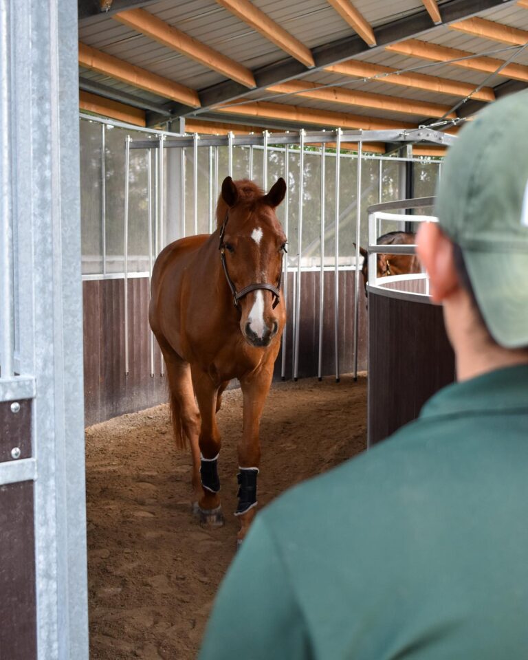 338391302 246872987773929 7565956771122958860 n 768x960