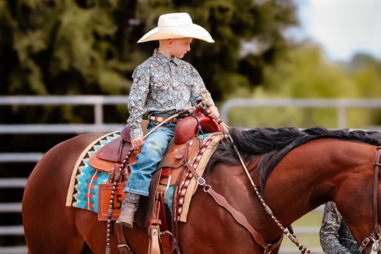 441167774 745895671035979 3296995117158653667 n 768x512