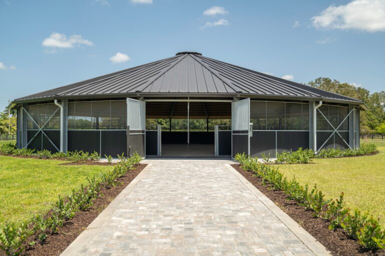 453381104 902686071904485 4889427851352046496 n 768x512