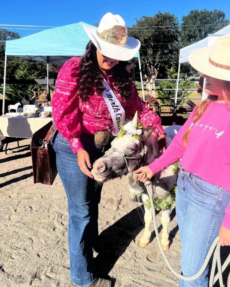 462662133 1227435658447437 767770345310725362 n 768x960