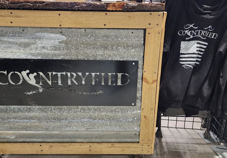 463074635 954909913349236 2302124165055477829 n 768x535