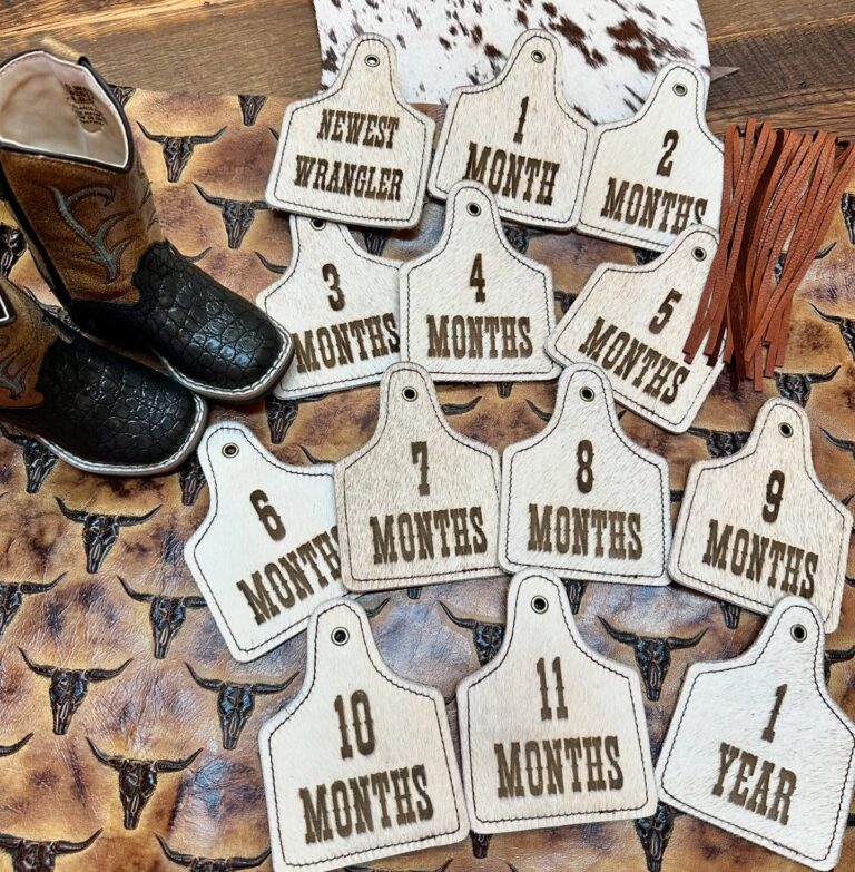 464058658 18064924051657686 2496101508953576388 n 768x783