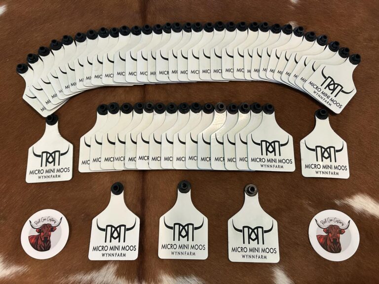 464300994 122116739126526961 846385901815444112 n 768x576