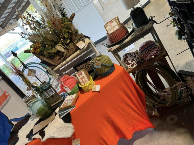 464509869 10226194180504588 5836032232158775777 n 768x576