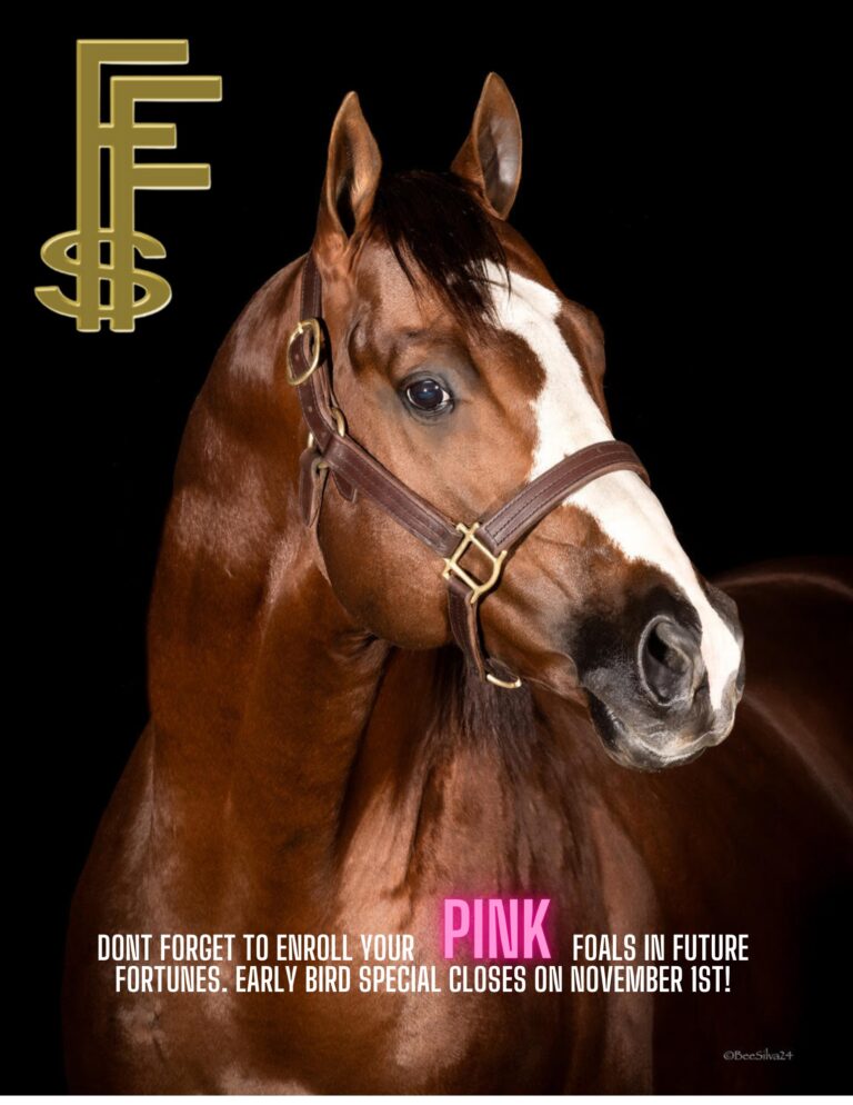 464949937 859854409565755 5867546148043452959 n 768x994