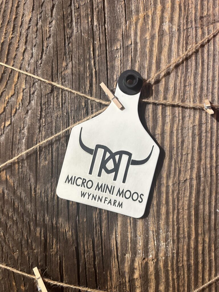 465027368 122116257500526961 3307333271539007123 n 768x1024