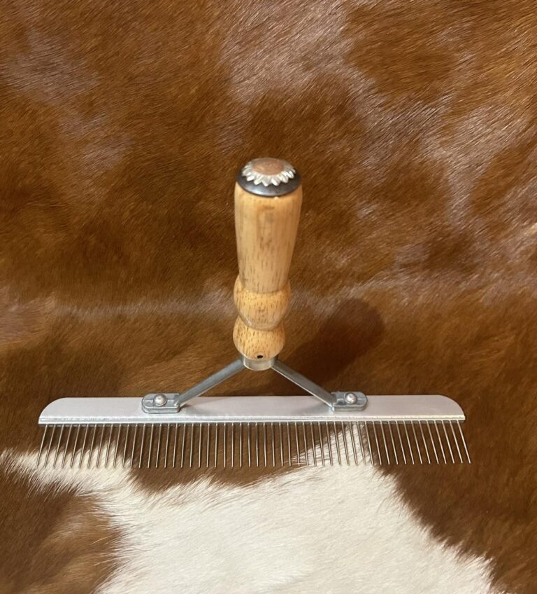 465748067 122119049630526961 3806149077567583654 n 768x848