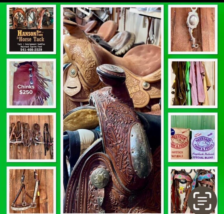 465796176 9019696208061690 8412934431194775728 n 768x732