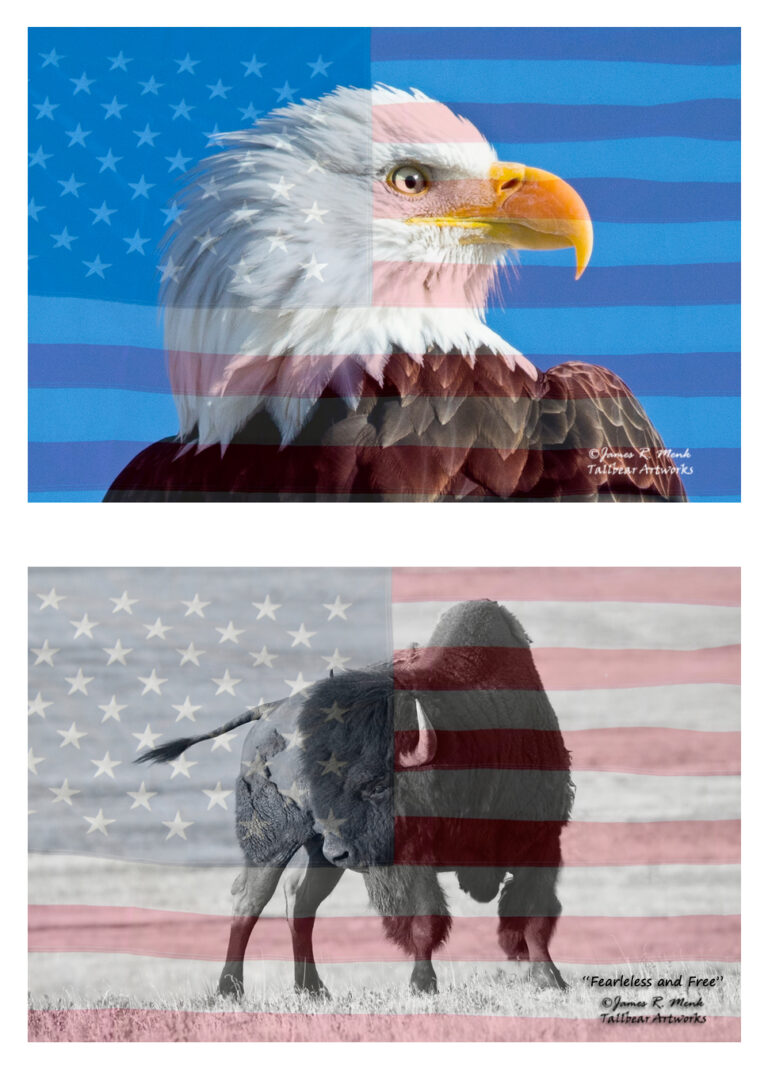 466078099 1138414731617615 2640321578247315360 n 768x1070