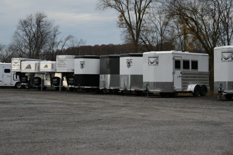 466329211 122160504524053523 7286070495817527982 n 768x512