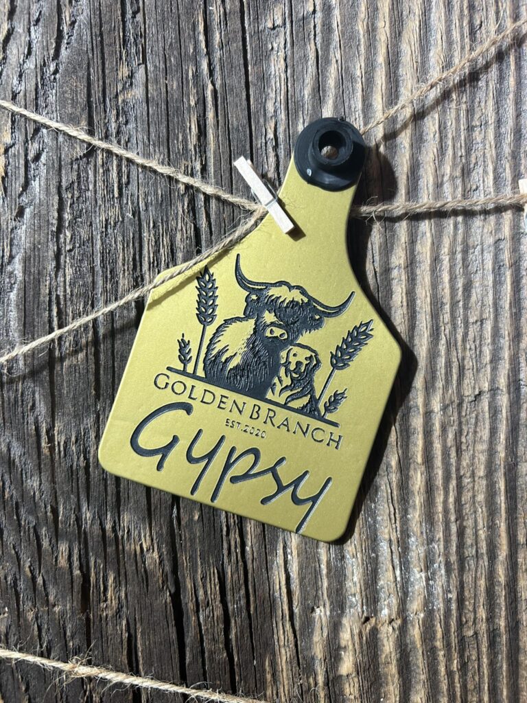 466387577 122119366220526961 5907096395035890643 n 768x1024