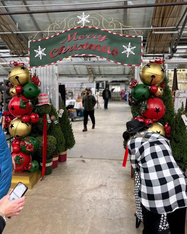 466482281 1075568497903137 2510382096480496208 n