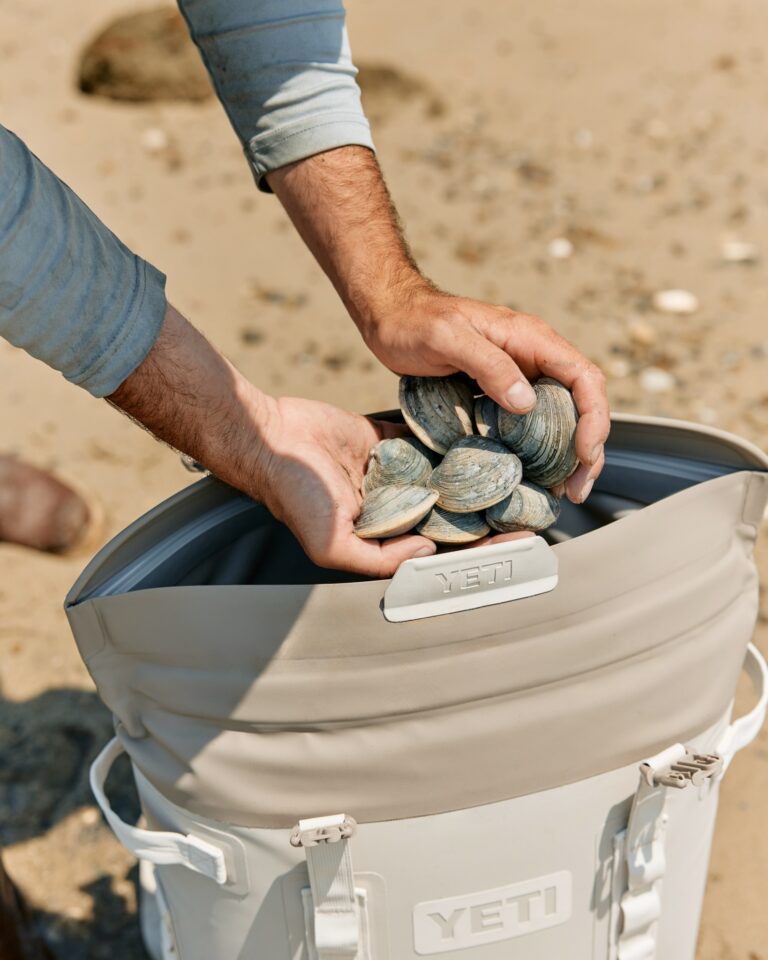 466511486 997889809049453 8317067053494390351 n 768x960