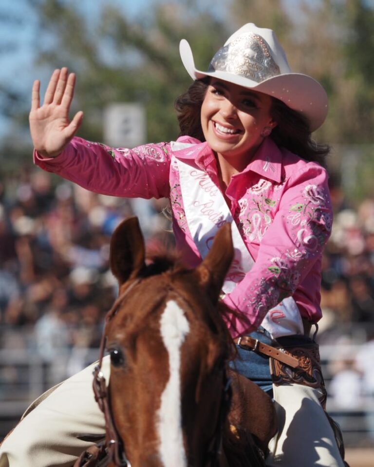 466805205 122195183108066236 2842988515787022623 n 1 768x959