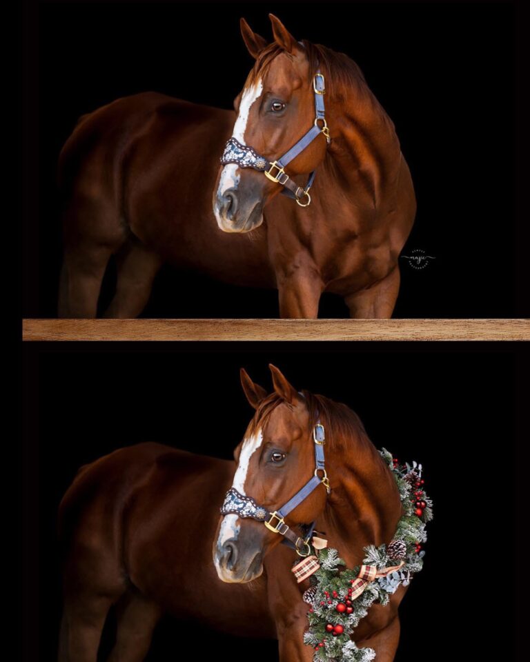 466998287 18228730924303526 8079134139554733851 n 768x960