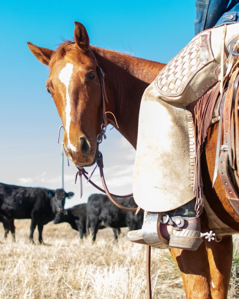 467023422 18443474107068959 4078280781051955875 n 768x960