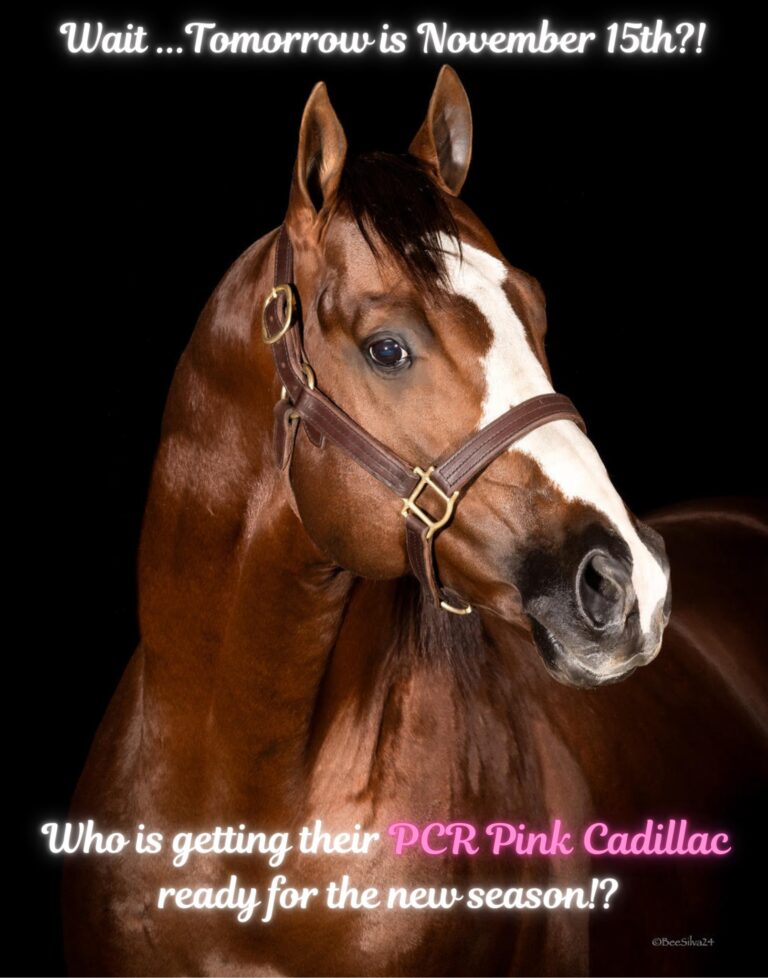 467024432 870618685155994 4808891387964246378 n 768x978