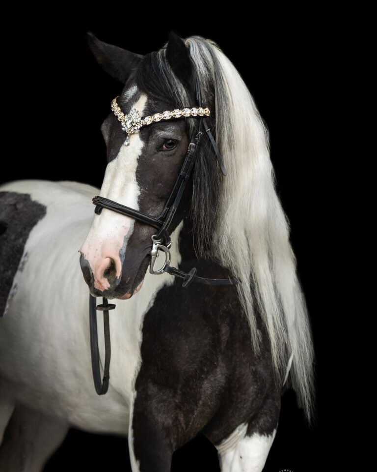 467034992 18228730906303526 6830860996523872795 n 768x960