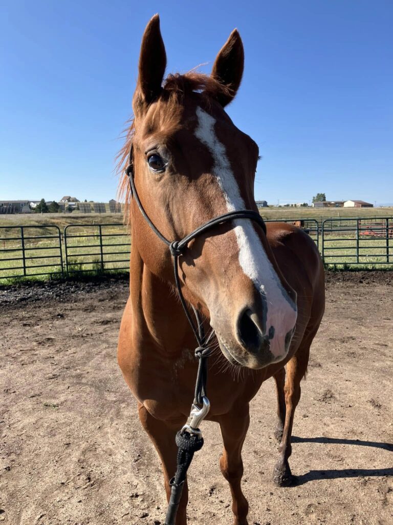 467398820 1092831532847696 2532612603582201514 n 768x1024