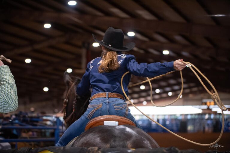 467778872 1109434147849919 1045196294602009556 n 768x512