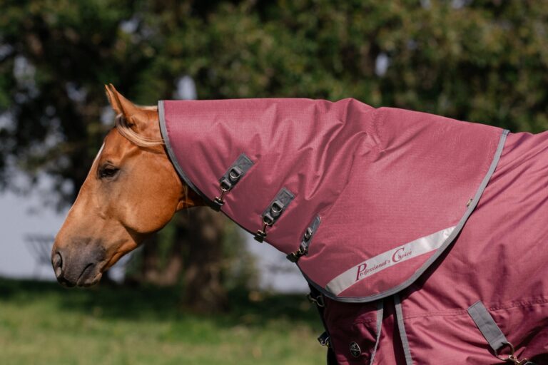 467833075 974600928036531 7367497377651047744 n 768x512