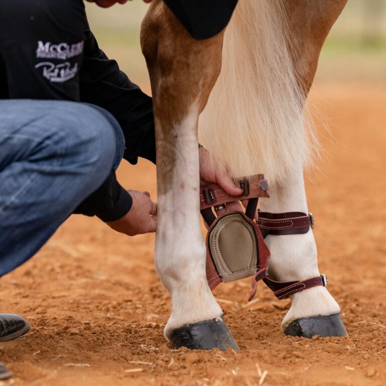 468059558 974620398034584 8763558183152208860 n 768x768