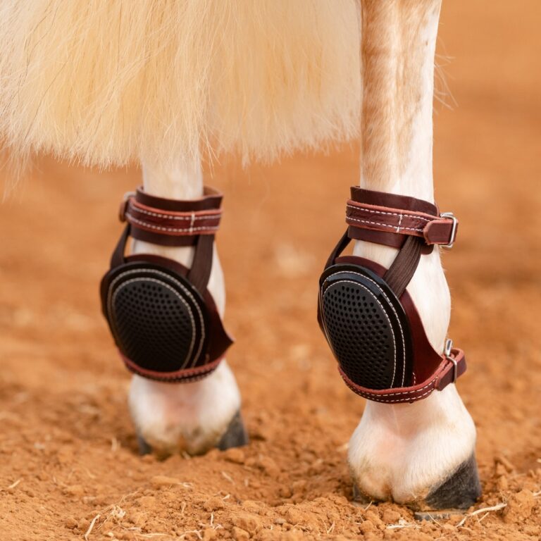 468088585 974620354701255 391482044423731414 n 768x768