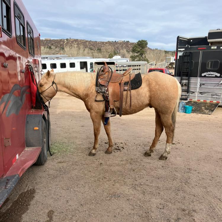 468277686 1097865355677647 3938527889296175667 n