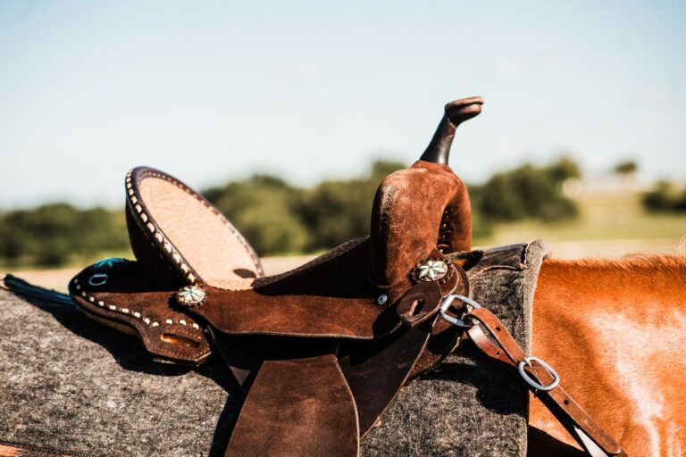 468279571 982555563902968 8569131278425700520 n 768x512