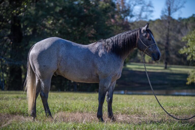 468324624 1113651990761468 4880018068560955619 n 768x512