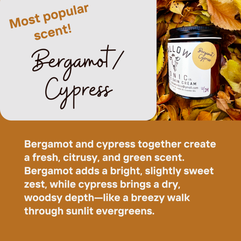 Bergamot Cypress 768x768