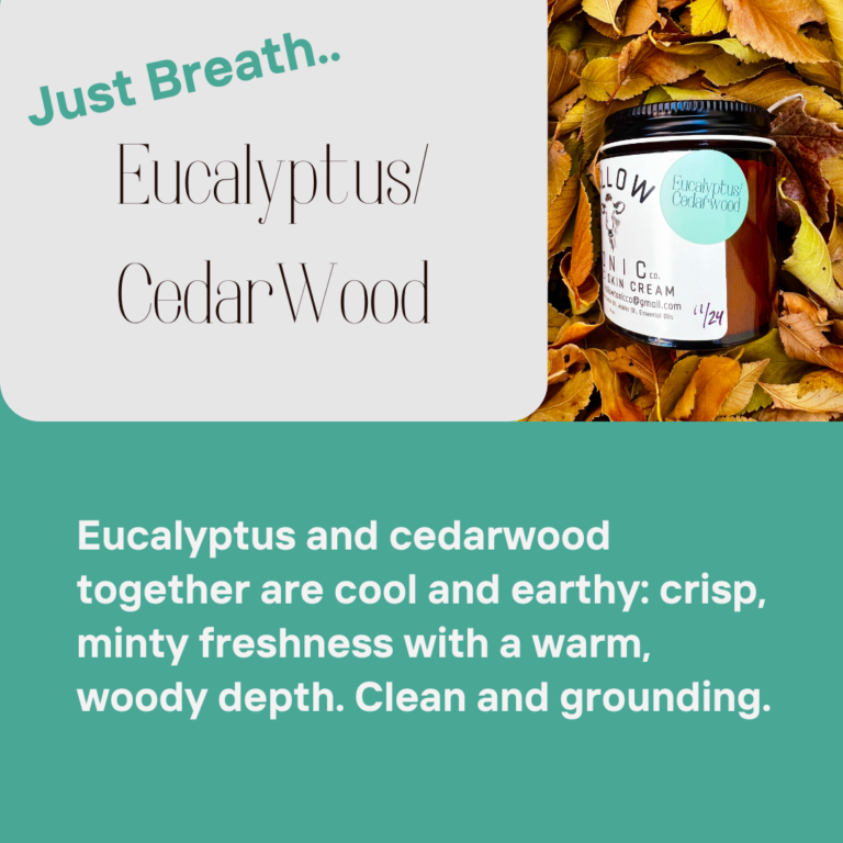 Eucalyptus CW 768x768