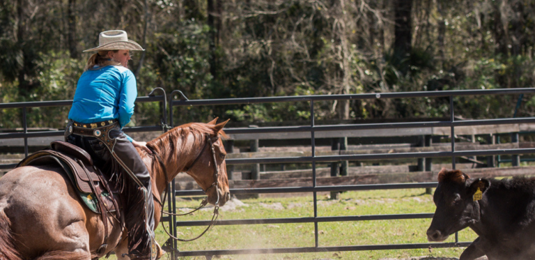 Screenshot 19 1 768x373