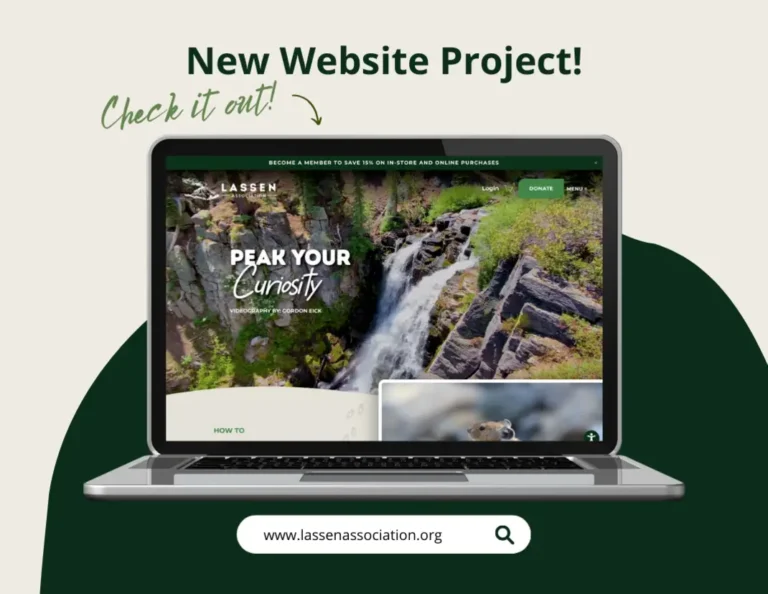 inbound226879815842258273 768x594