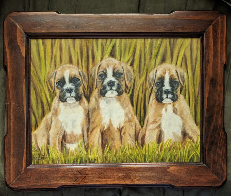 inbound4904205715367081382 768x653