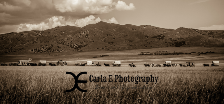 wagon train with logo sepia 768x357