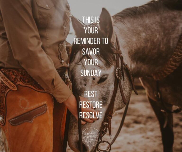 436378764 939295687996776 1022597816340295823 n 768x644