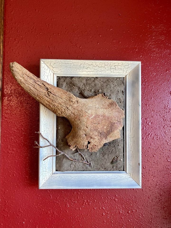 441189596 983854239922676 4066769657008936346 n