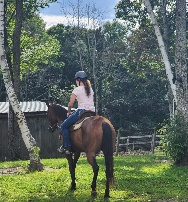 456570329 122145471518267874 260188718590562106 n 768x825