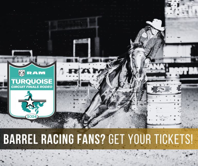 457169852 991392059664336 6743761888010207330 n 768x644