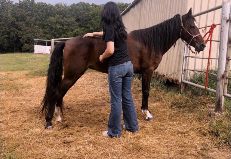 459427803 122143656086284702 2299661105883923694 n 768x530