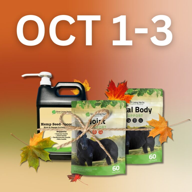 461658406 18467356345055507 2002712742204436532 n 768x768