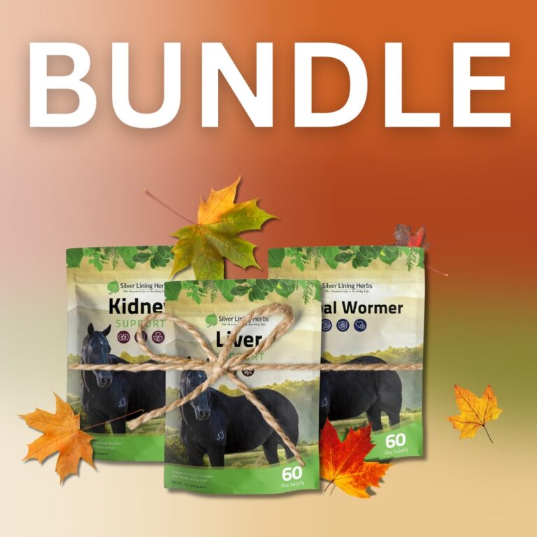 461778808 18467356837055507 999422153640142975 n 768x768